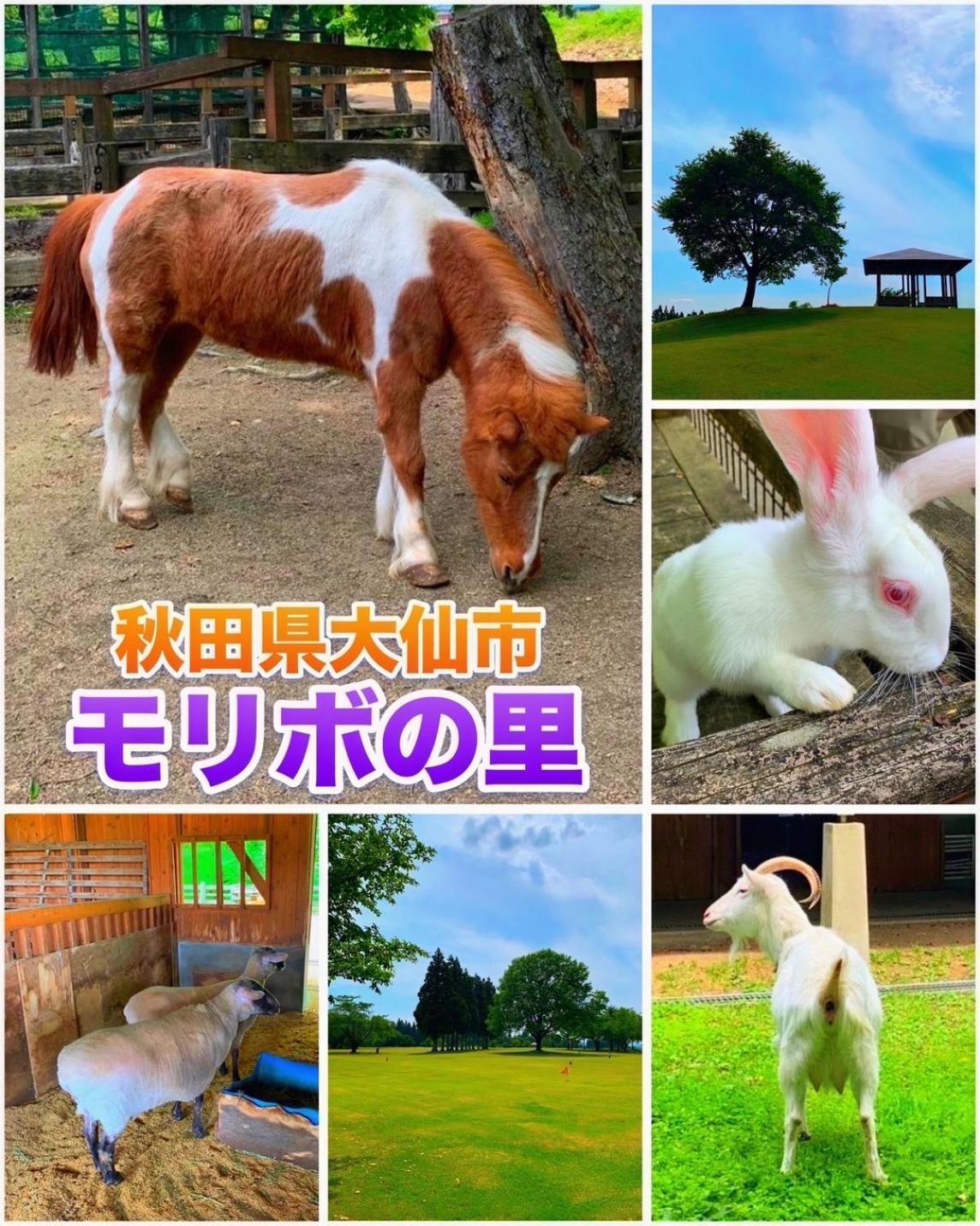 Hotel Dolphia-Adult Only Daisen  Esterno foto
