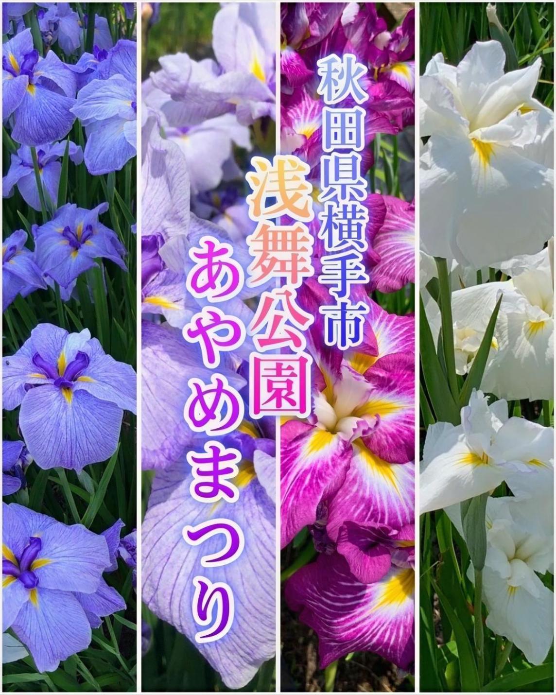 Hotel Dolphia-Adult Only Daisen  Esterno foto