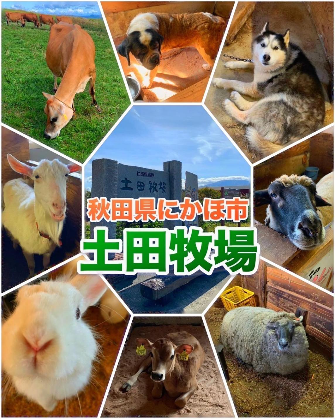 Hotel Dolphia-Adult Only Daisen  Esterno foto