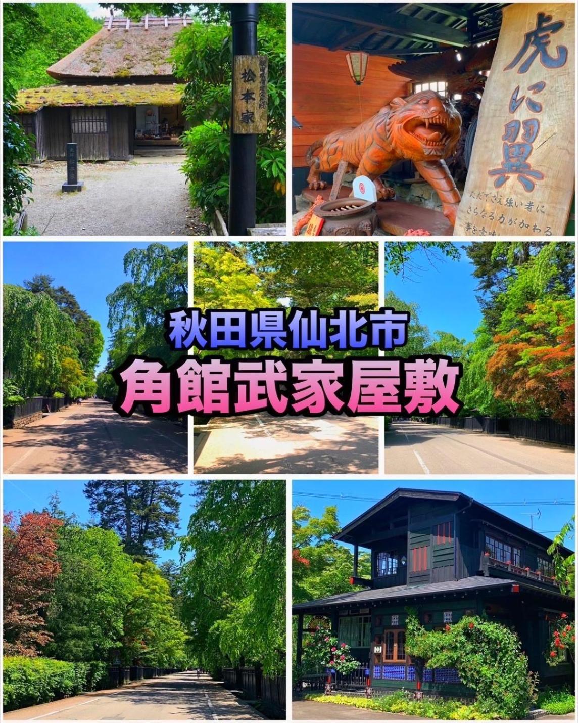 Hotel Dolphia-Adult Only Daisen  Esterno foto