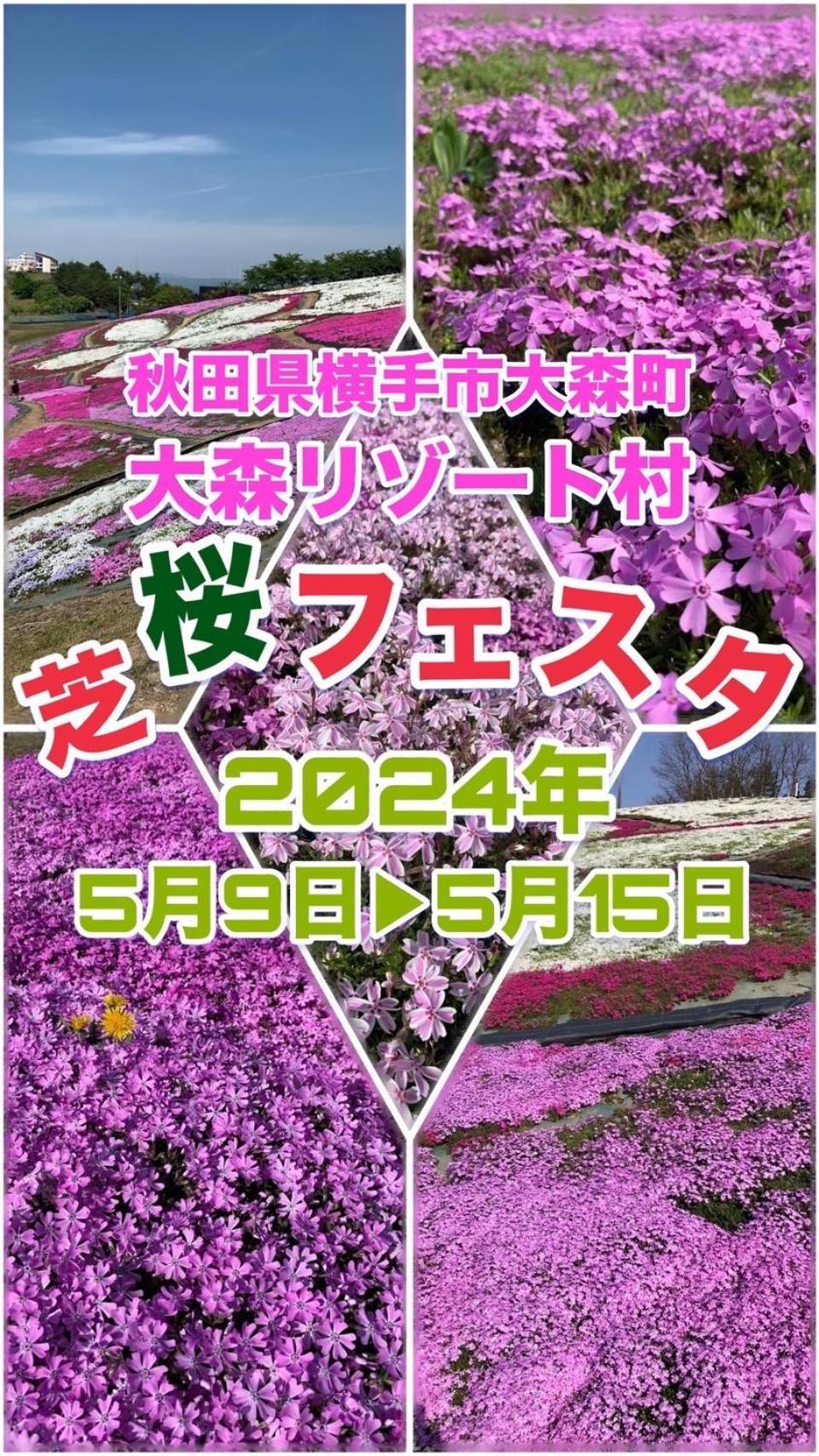 Hotel Dolphia-Adult Only Daisen  Esterno foto